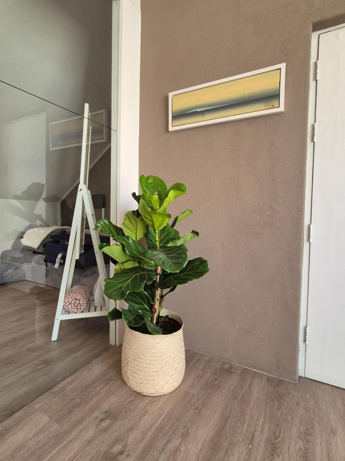The Gardens Nook * Cape Town